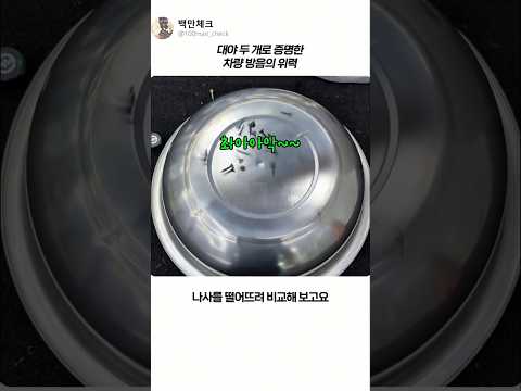 대야로 증명한 차량 방음의 위력 (The power of vehicle soundproofing proven by basins.)