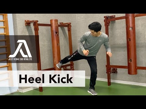 Jeet Kune Do - Heel Kick - Technik und Bewegungsablauf