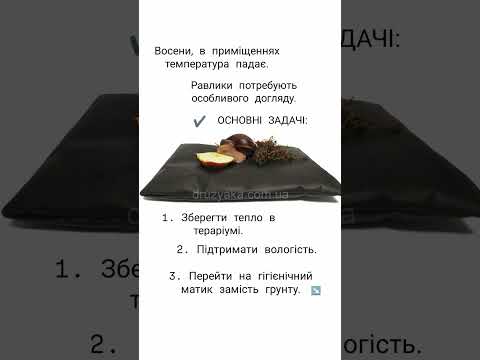 Мат (матрац) для равликів ахатин, 20х30 см - фото 1 - id-p1318624939