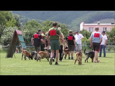 MSR ZŠK Tekovská Breznica 2019 (1)