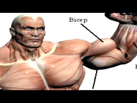 download lagu mp3 mp4 Kigtropin Opiniones, download lagu Kigtropin Opiniones gratis, unduh video klip Kigtropin Opiniones