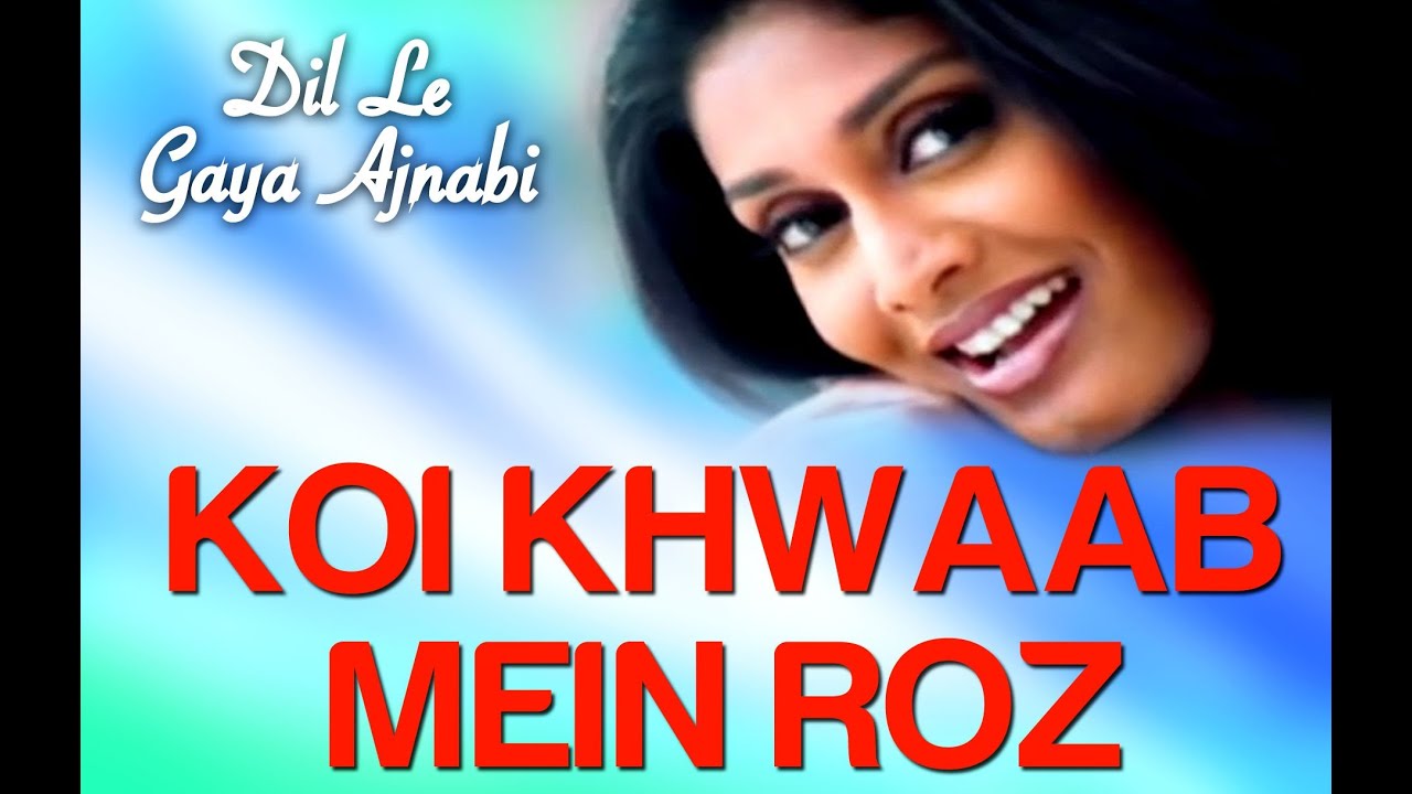 Koi Khwaab Mein Roz Lyrics | Dil Le Gaya Ajnabi | Alka Yagnik | Sameer Phaterpekar