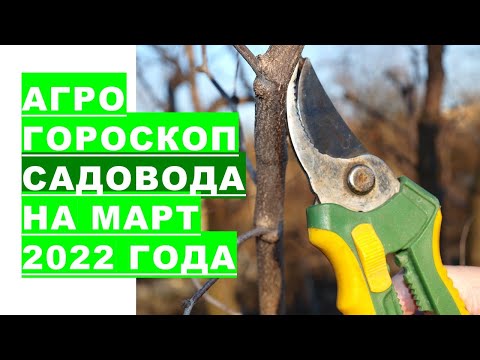 , title : 'Агрогороскоп садовода на март 2022 года'