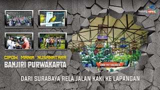 Download lagu WOW 😱 CIPOW MANIA NUSANTARA BANJIRI PURWAKARTA | Dari Surabaya Jalan Kaki !!! mp3