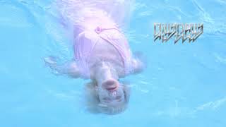 Dilly Dally - Sober Motel