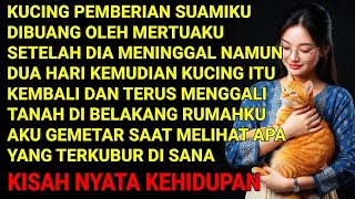 Download lagu KISAH NYATA | IBU MERTUA MEMBUANG KUCINGKU SETELAH SUAMI MENINGGAL—TAK LAMA KUCING ITU KEMBALI BAWA mp3 Download lagu KISAH NYATA | IBU MERTUA MEMBUANG KUCINGKU SETELAH SUAMI MENINGGAL—TAK LAMA KUCING ITU KEMBALI BAWA mp3