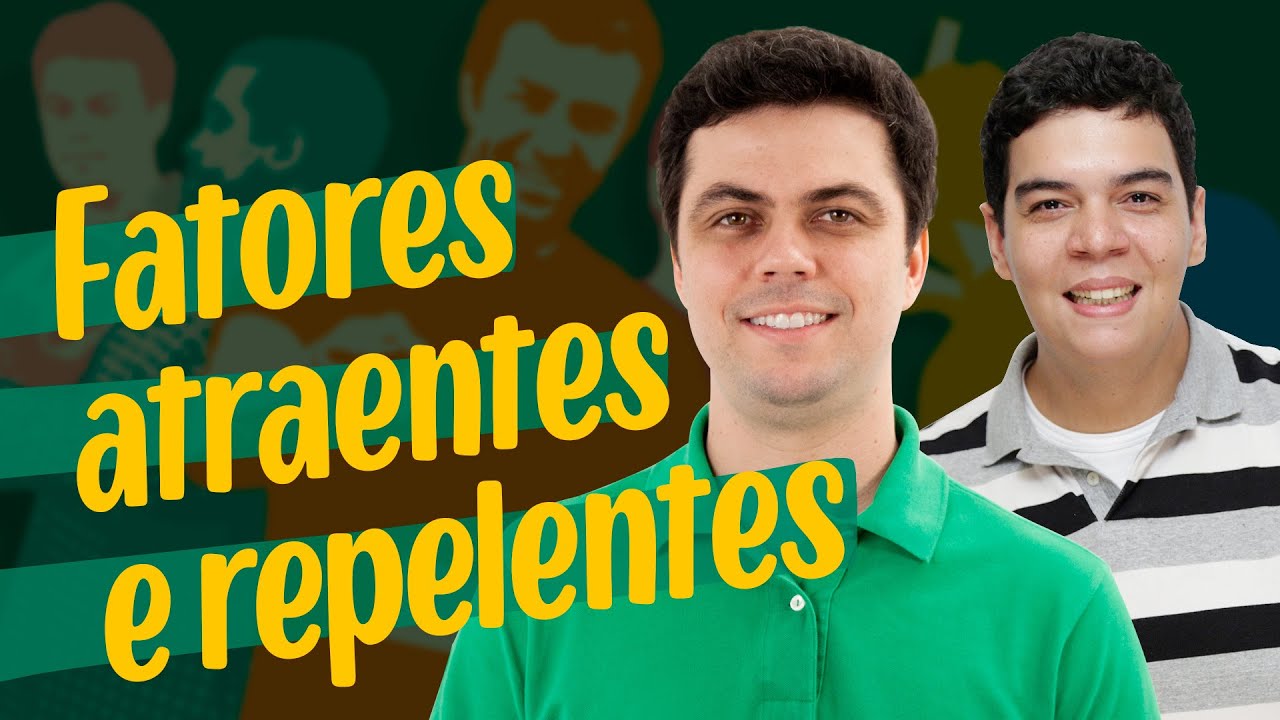 Como saber se sua aula foi produtiva | Novo Professor