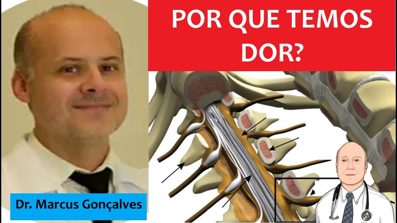 Neuropatias autoimunes: neuronopatias sensitivas (ganglionopatias). Novas doenças, sintomas antigos.