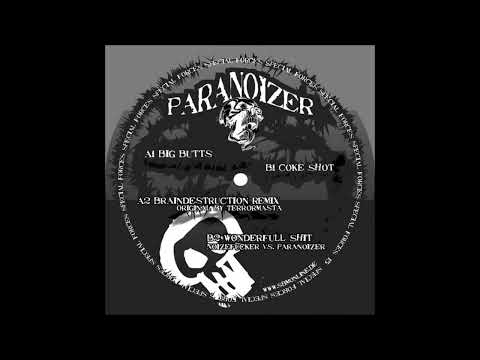 Paranoizer & Noizefucker - Wonderful Shit