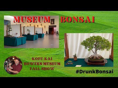 Bonsai Art Displayed in a Museum - The 2022 Kofu Kai Fall Bonsai Show, S01 E15
