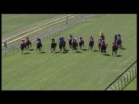 20200226 Hollywoodbets Scottsville Express Clip Race 3 won by BRUNILDA