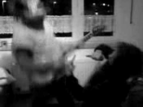 tokio hotel goes crazy