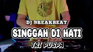 Download lagu DJ SINGGAH DI HATI - TRI PUSPA (Rahayou Asik) mp3