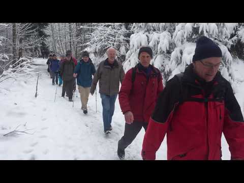 20.03.2018 Wanderung Flawil-Wil