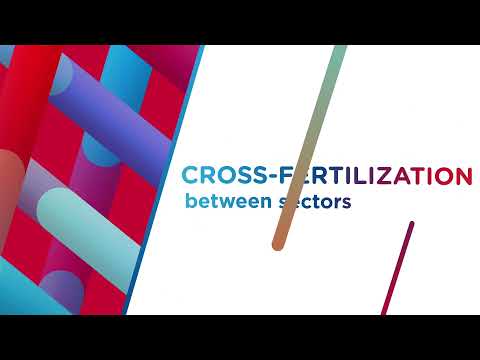 Foster growth through customer-centric innovation and the power of data