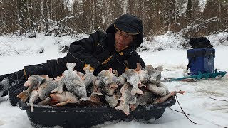 Клев рыбы в ханты-мансийске с начала декабря