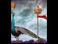 Kadamba Muruga Whatsapp Status