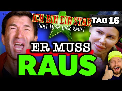 NO GO! Lucas BELEIDIGT HEIM-KINDER! Cosimo streitet mit Jolina! Dschungelcamp 2023 Tag 16