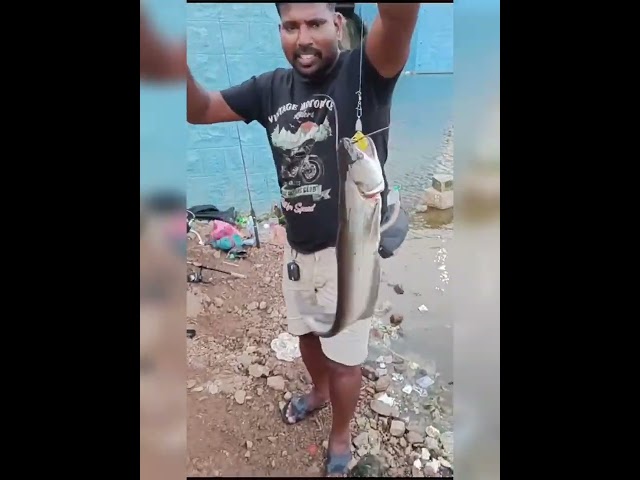 Judge.me YouTube video placeholder