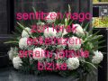 gatibu - lorak eskeintzen / Urritxe institutua 