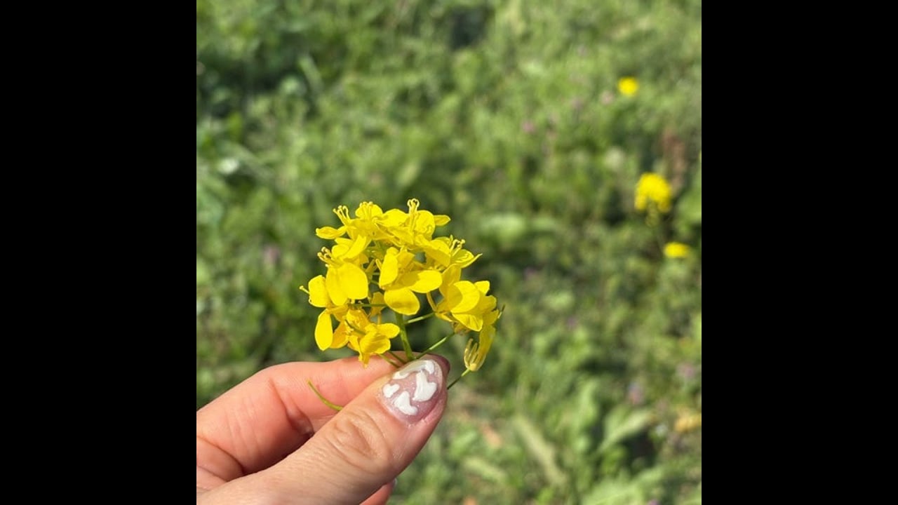 【お金×家×時間整えラジオ】#65子供のお小遣いは習い事費扱い