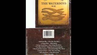 waterboys-savage earth heart