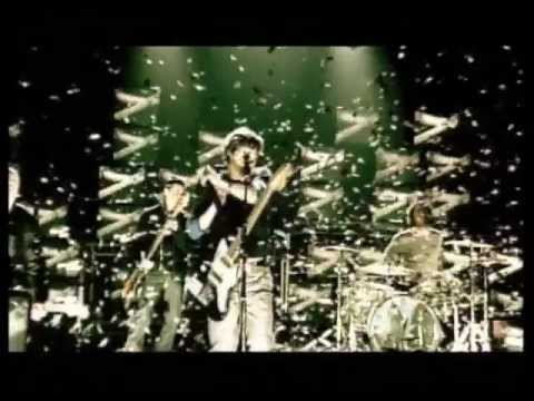 Warm Machine - Bush