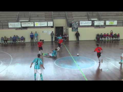 Calcio a 5 - Serie C2: La Virtus Palombara batte la Fenice e vola in C1, la festa promozione