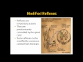 Nervous System [5]: Modified Reflexes (A Level Biology)