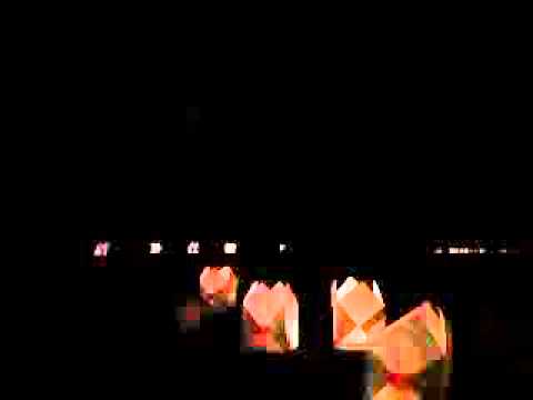 festivalul luminii Oradea 2011 - final - 2 / 5