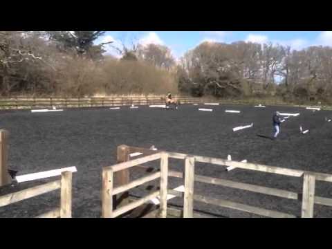 BE90 dressage test 95