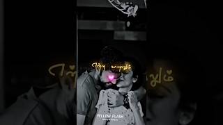 Download lagu Veareathuvum theavai lllai(love status)#truelovestory #love #lovestatus mp3