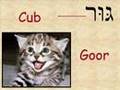 The Animals in Hebrew - Part 1 - Lesson