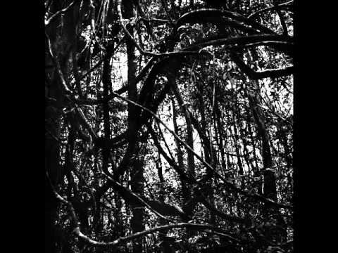 Nekrosferatu vs Kanibal HolokausT   Mental Cruelty