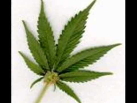 pitbull ft pharrell - blanco 11