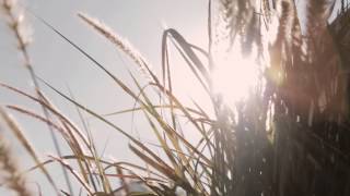 Damian Joyce (ft. Keith Emerson) - 'When You're Around' (NYC)