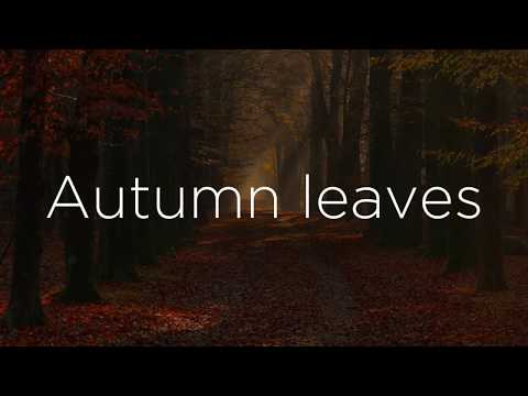 Frank Sinatra - Autumn Leaves (Lyrics)