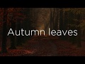 Frank Sinatra - Autumn Leaves (Lyrics)