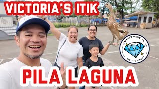 We Visit Pila Laguna | Famous Victoria's Itik