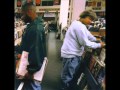 DJ Shadow - stem / long stem