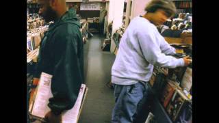 DJ Shadow - stem / long stem