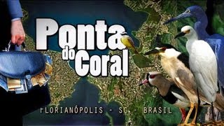 preview picture of video 'PONTA DO CORAL - FLORIPA INVADIDA'
