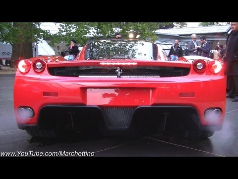 Loud Start Ups: Ferrari Enzo vs 599XX vs F50 vs F40 vs GTO