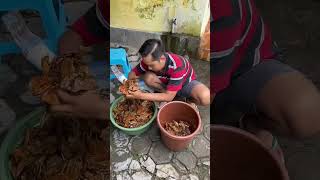 Download lagu Tutorial on the process of making Ketapang leaf extract part 1 #channa #ketapang #ketapang leaves... mp3