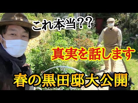 園芸 韓国の妖精の鐘、黄色い花を持つ妖精の鐘