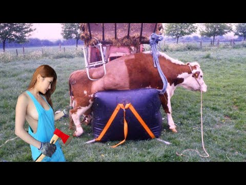 Farm #WithMe Cow Milking Animal Rescue BABY CALF BORN Incredible Smart Farming Hoof Trimming Ukraine