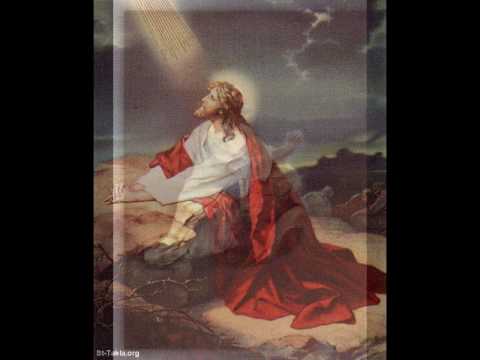 Antonina Krzysztoń - Ogrodzie oliwny.