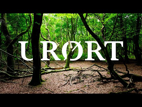 Draved Skov - Danmarks største urørte skov