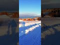 Beautiful Winter In November Winter Snow Yellowtree November Norway Nature Goodtimes