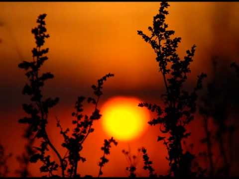 Dragomir Majkić - Svadili se orli i sokoli